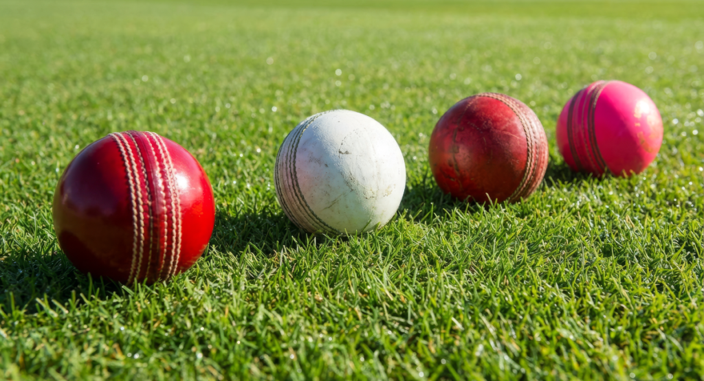 Cricket and Sports Betting