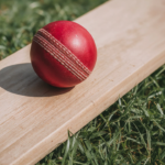 How Statistics Are Changing Modern Cricket